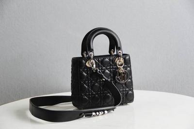 DIOR Handbags 371